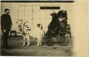 Paul Batty's bears. Sou.9.36.1 Photo