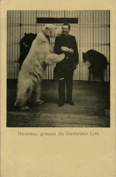 Paul Batty's bears. Sou.9.36.2 Photo