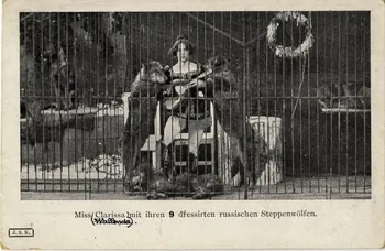Miss Clarissa (Wallenda) mit ihren 9 dfessirten russischen Steppenwölfen. Sou.9.38.1 Photo