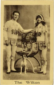 The Wilton. Sou.9.93.1 Photo