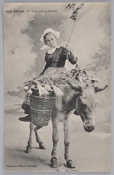 Album 35 Sou.B.118 Photo