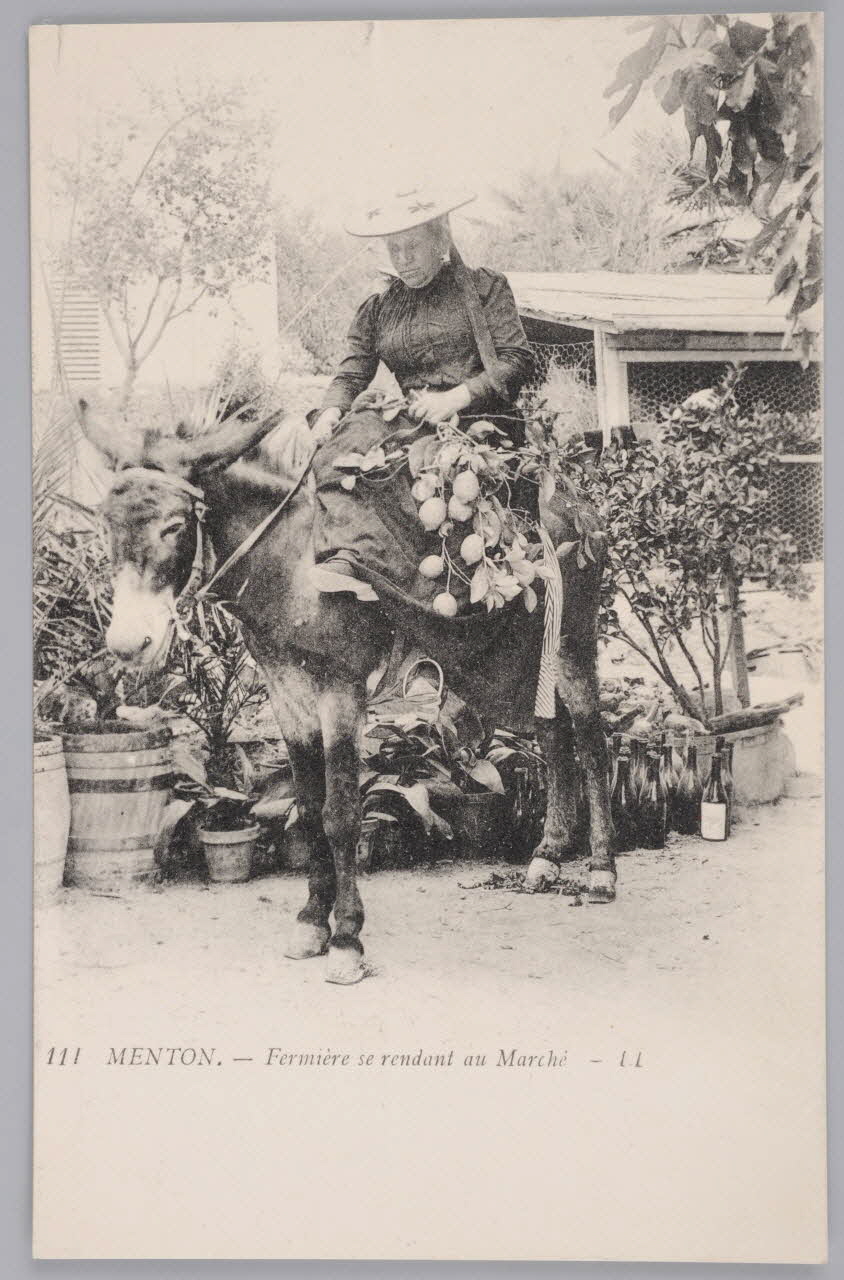 Album 35 Sou.B.210 Photo