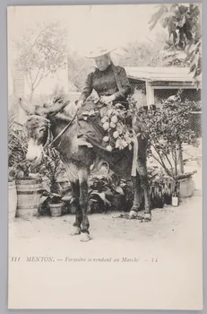 Album 35 Sou.B.210  Photo