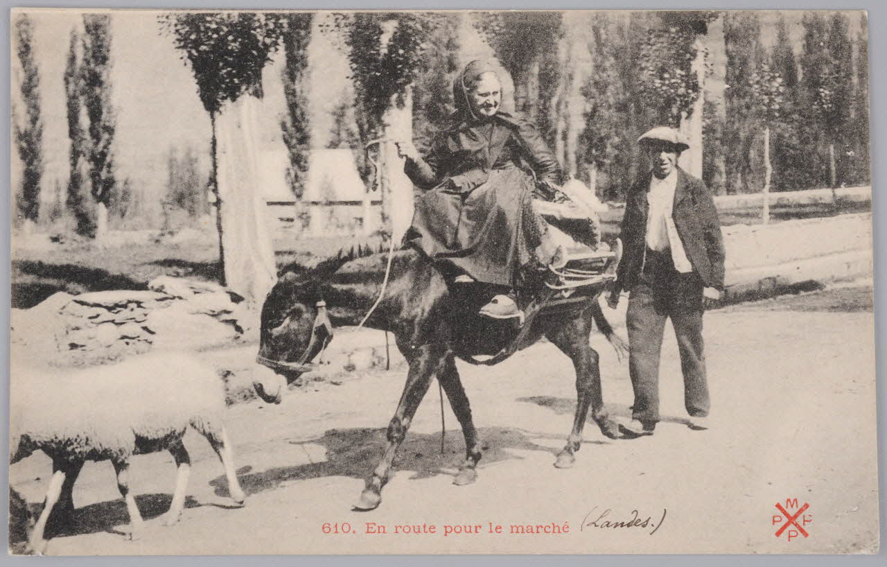 Album 35 Sou.B.211 Photo