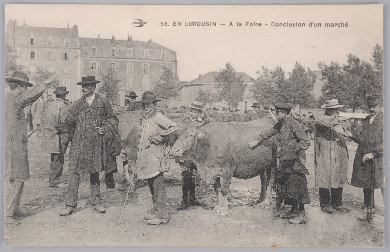 Album 35 Sou.B.252 Photo