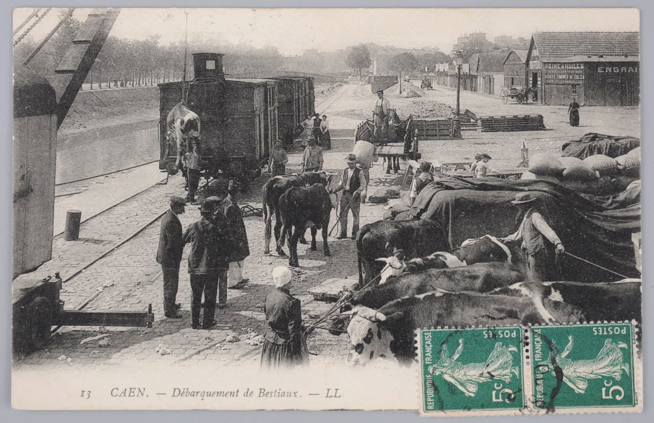 Album 35 Sou.B.259 Photo