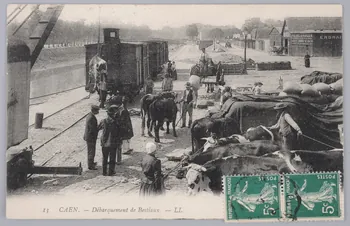 Album 35 Sou.B.259  Photo