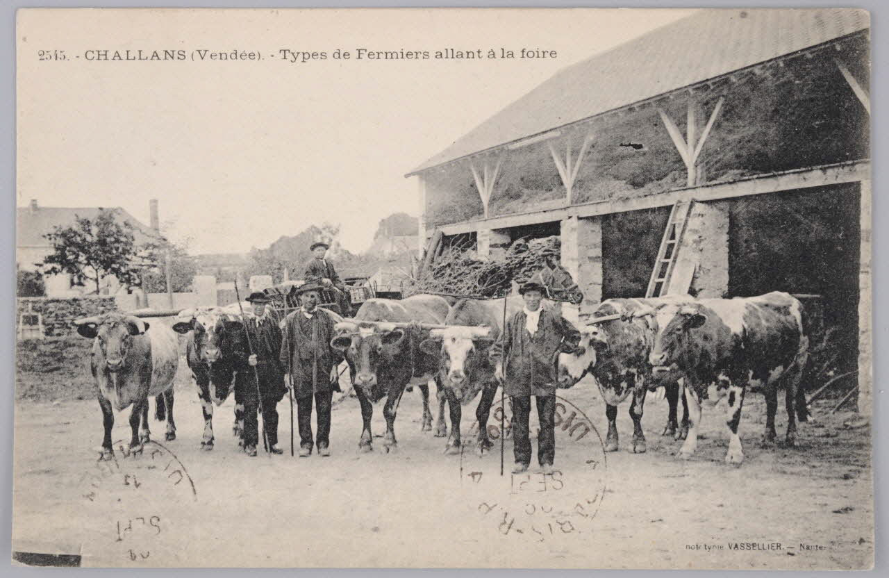 carte postale Album 35 Sou.B.260 Photo