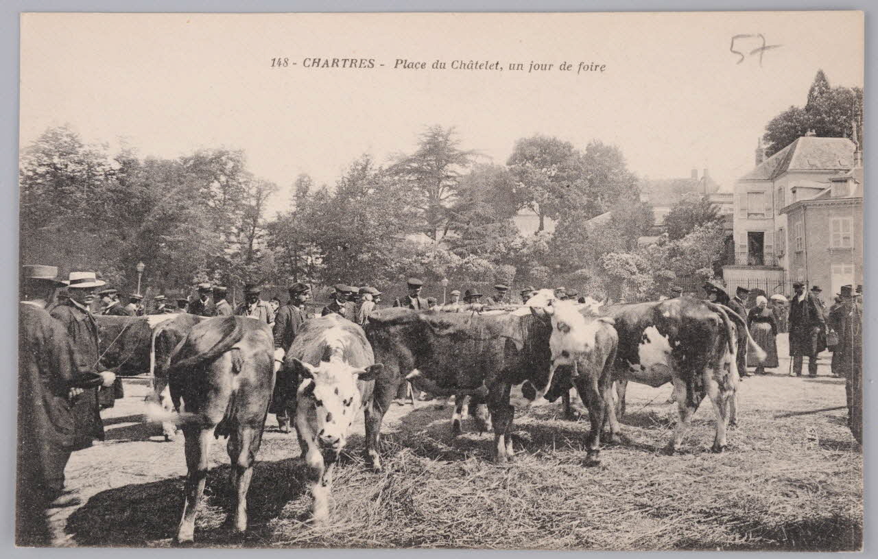 Album 35 Sou.B.261 Photo