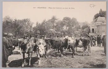 Album 35 Sou.B.261 Photo