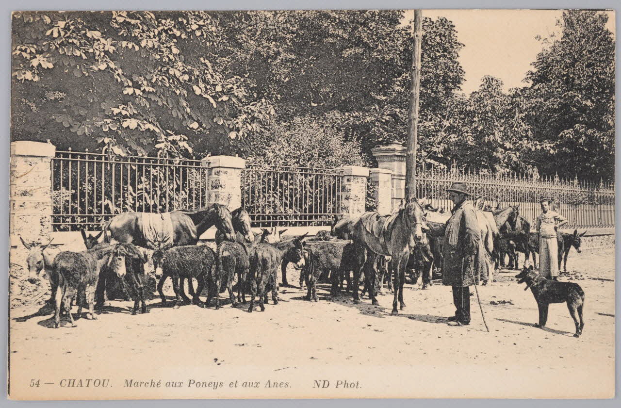 Album 35 Sou.B.262 Photo