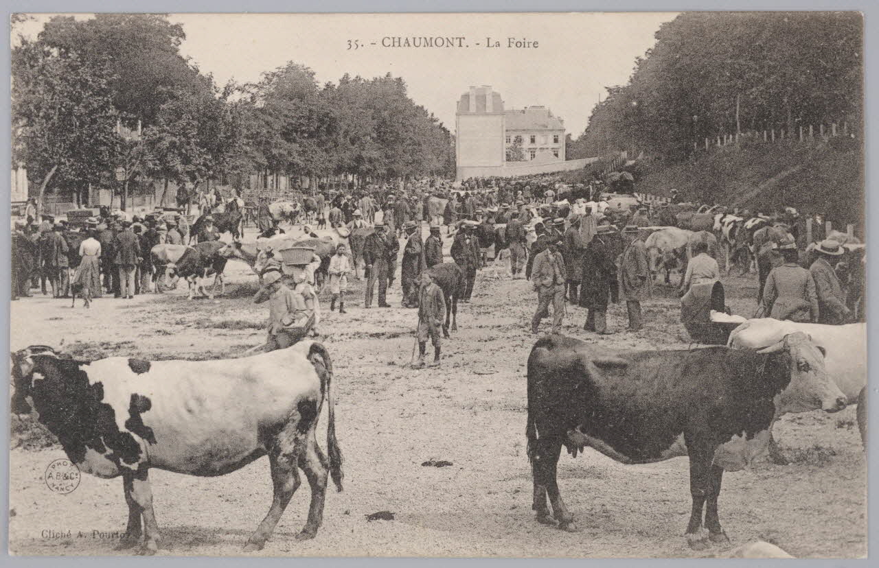 Album 35 Sou.B.263 Photo