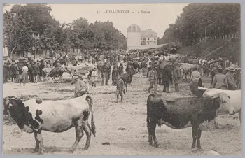 Album 35 Sou.B.263 Photo