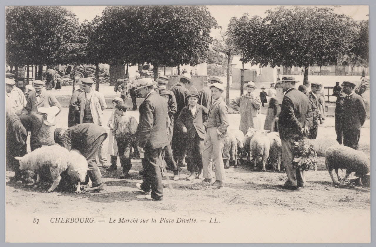 Album 35 Sou.B.264 Photo