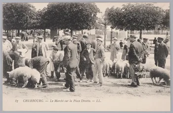 Album 35 Sou.B.264 Photo