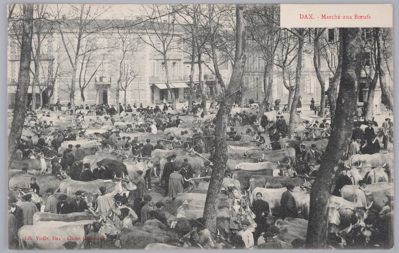 Album 35 Sou.B.266 Photo