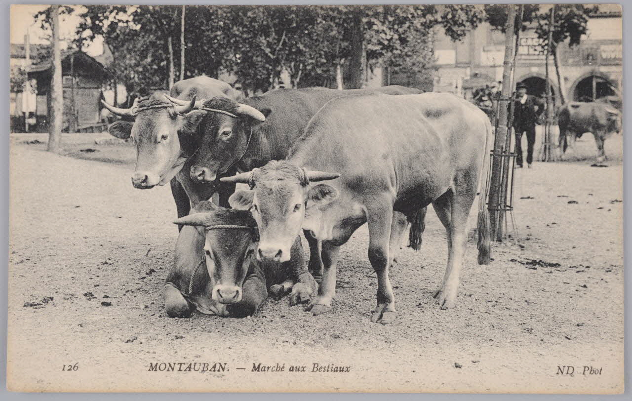 Album 35 Sou.B.280 Photo