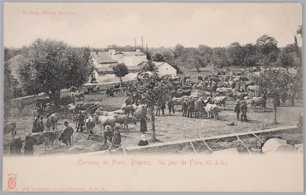 Album 35 Sou.B.281 Photo