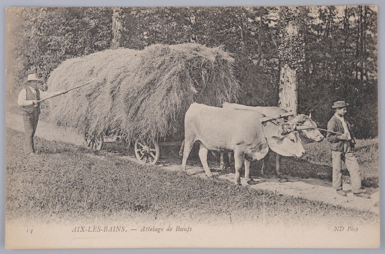 Album 35 Sou.B.318 Photo