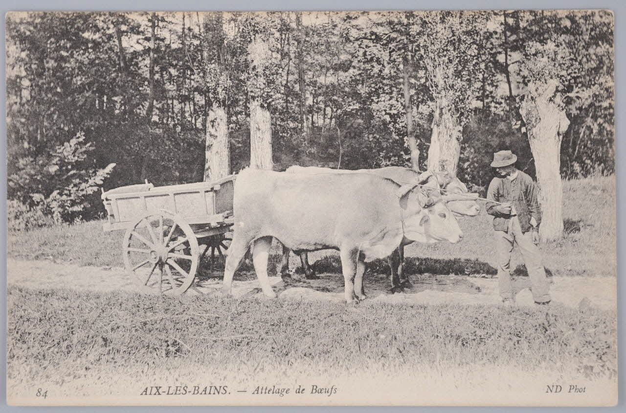 Album 35 Sou.B.319 Photo