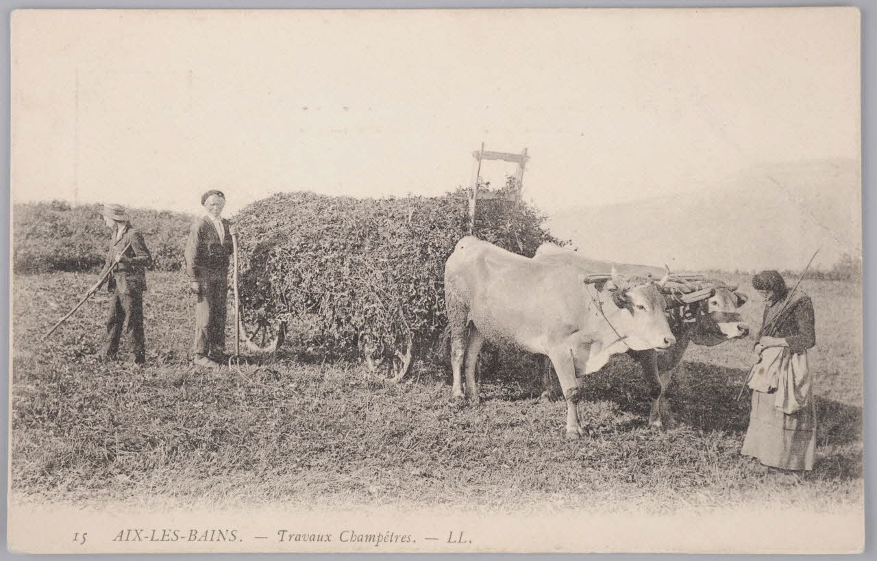 Album 35 Sou.B.320 Photo