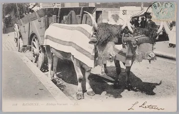 Album 35 Sou.B.322 Photo
