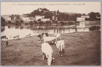Album 35 Sou.B.350 Photo