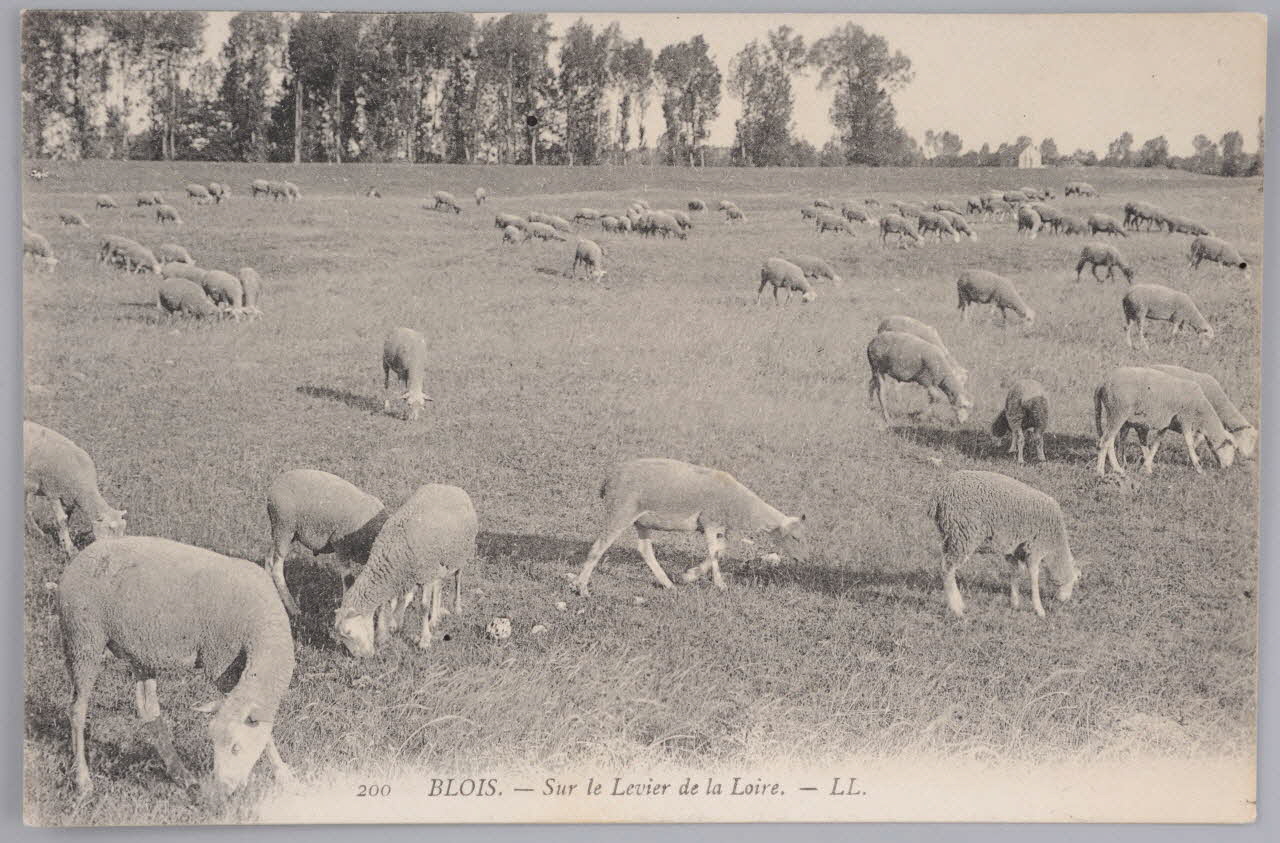 Album 35 Sou.B.357 Photo