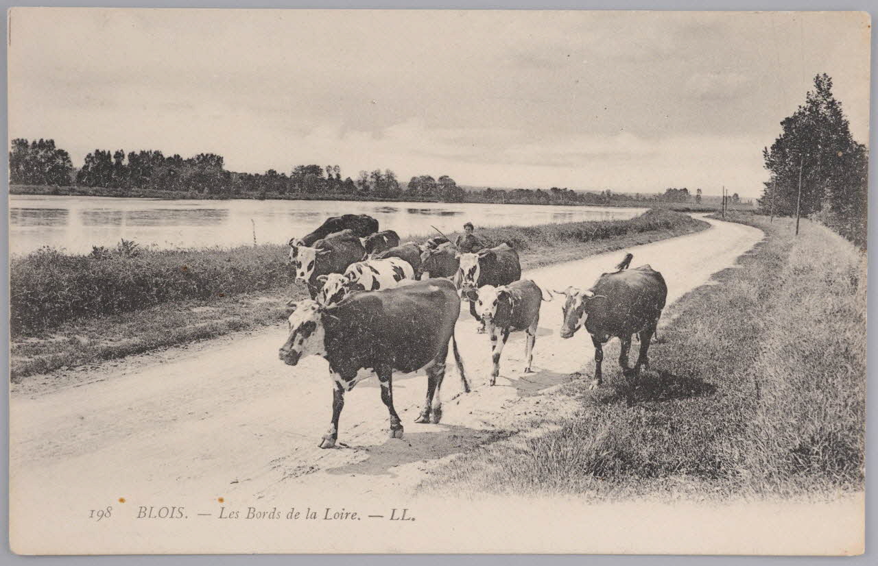 Album 35 Sou.B.358 Photo