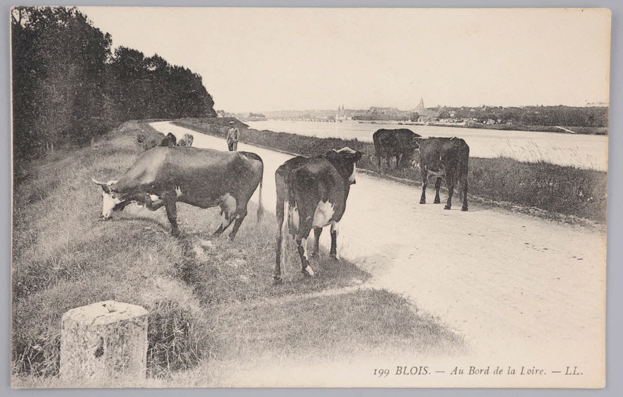 Album 35 Sou.B.359 Photo