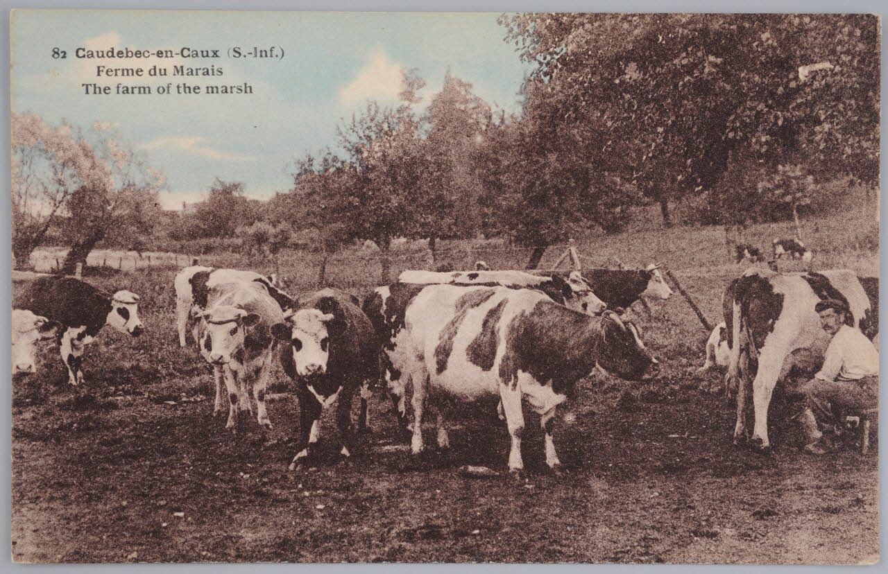 Album 35 Sou.B.364 Photo