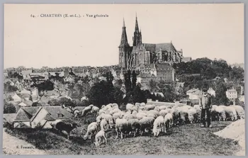 Album 35 Sou.B.371 Photo