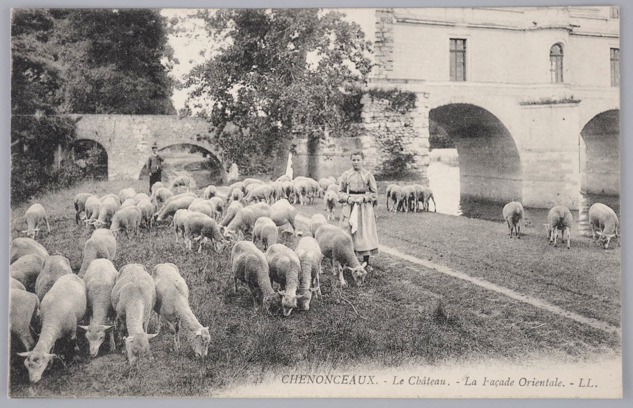 Album 35 Sou.B.372 Photo