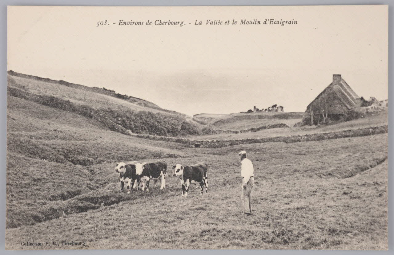 Album 35 Sou.B.373 Photo