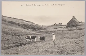 Album 35 Sou.B.373 Photo