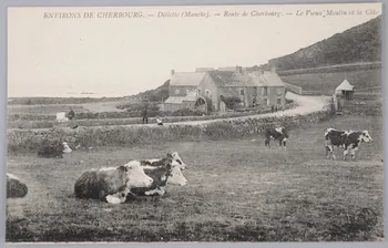Album 35 Sou.B.375 Photo