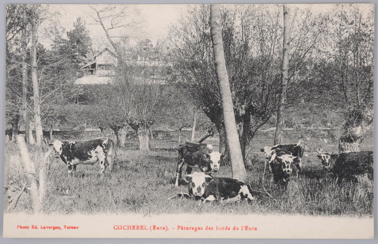 Album 35 Sou.B.377 Photo