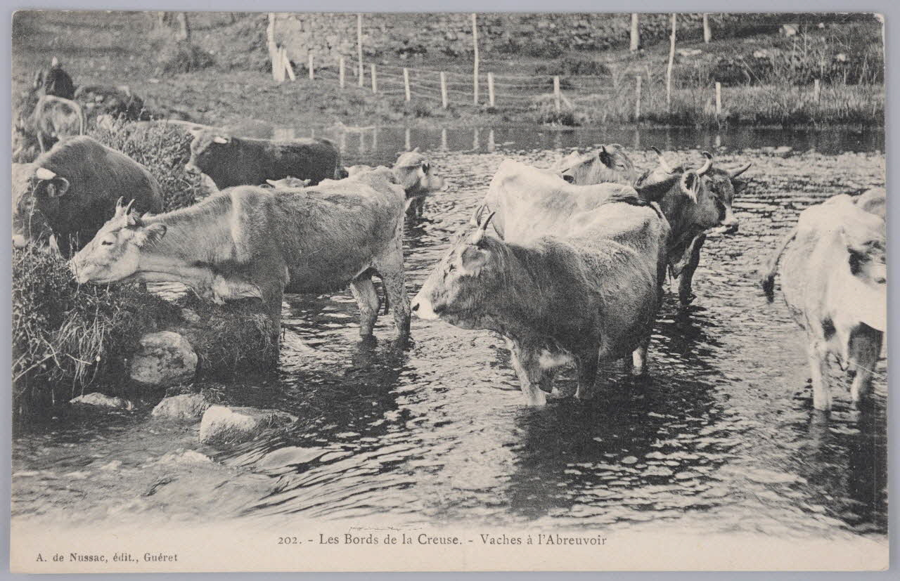 Album 35 Sou.B.378 Photo