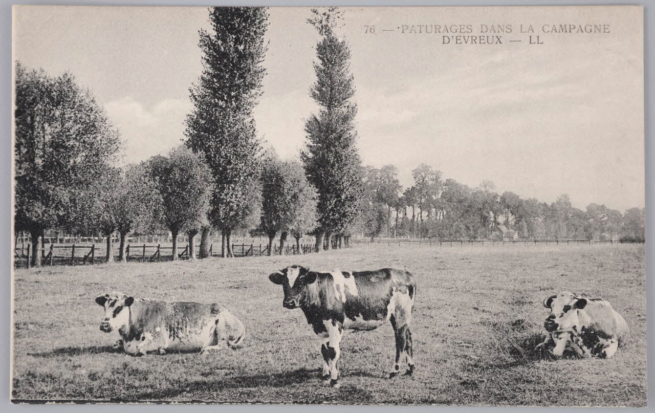 Album 35 Sou.B.387 Photo