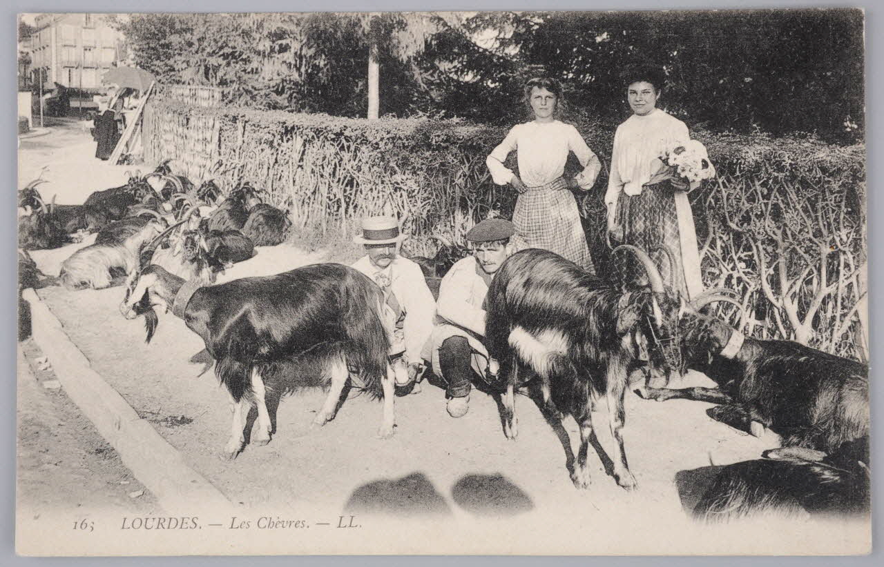 Album 36 Sou.B.412 Photo