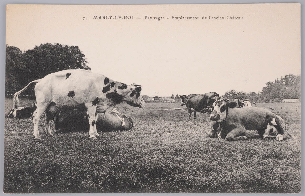 Album 36 Sou.B.418 Photo