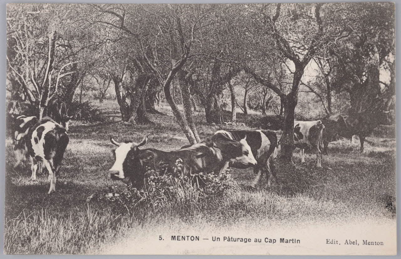 Album 36 Sou.B.421 Photo