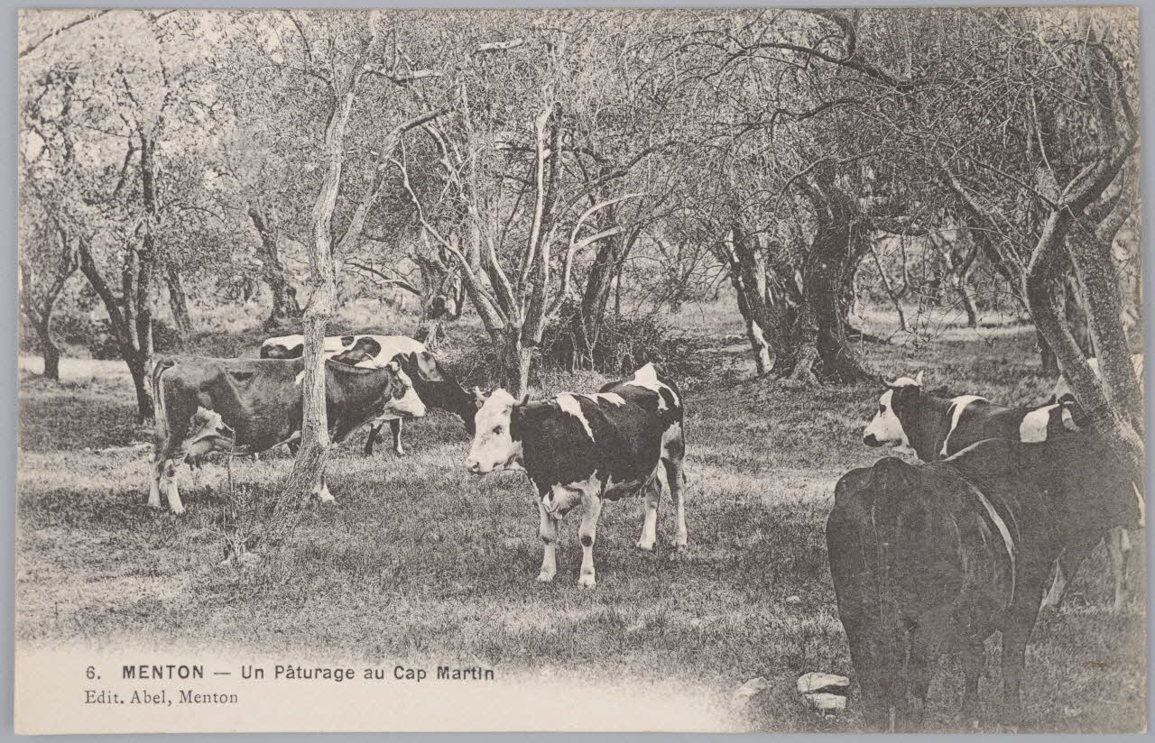 Album 36 Sou.B.422 Photo