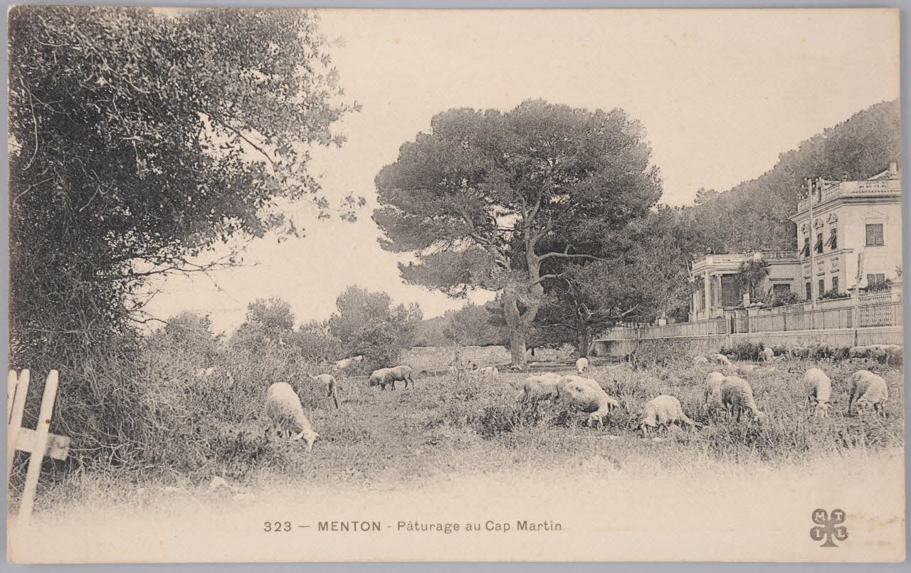 Album 36 Sou.B.423 Photo