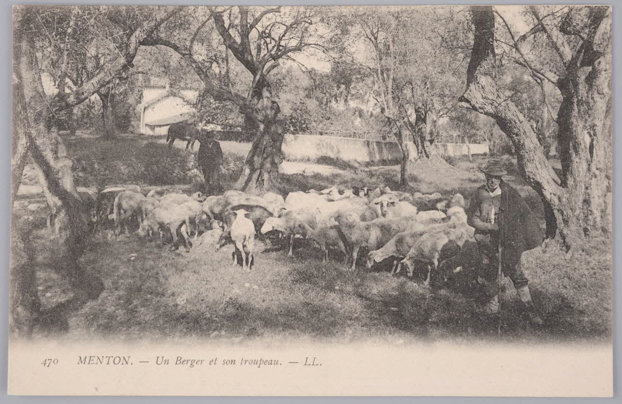 Album 36 Sou.B.424 Photo