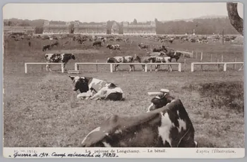 Album 36 Sou.B.434 Photo