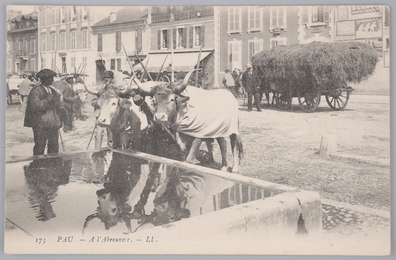 Album 36 Sou.B.435 Photo