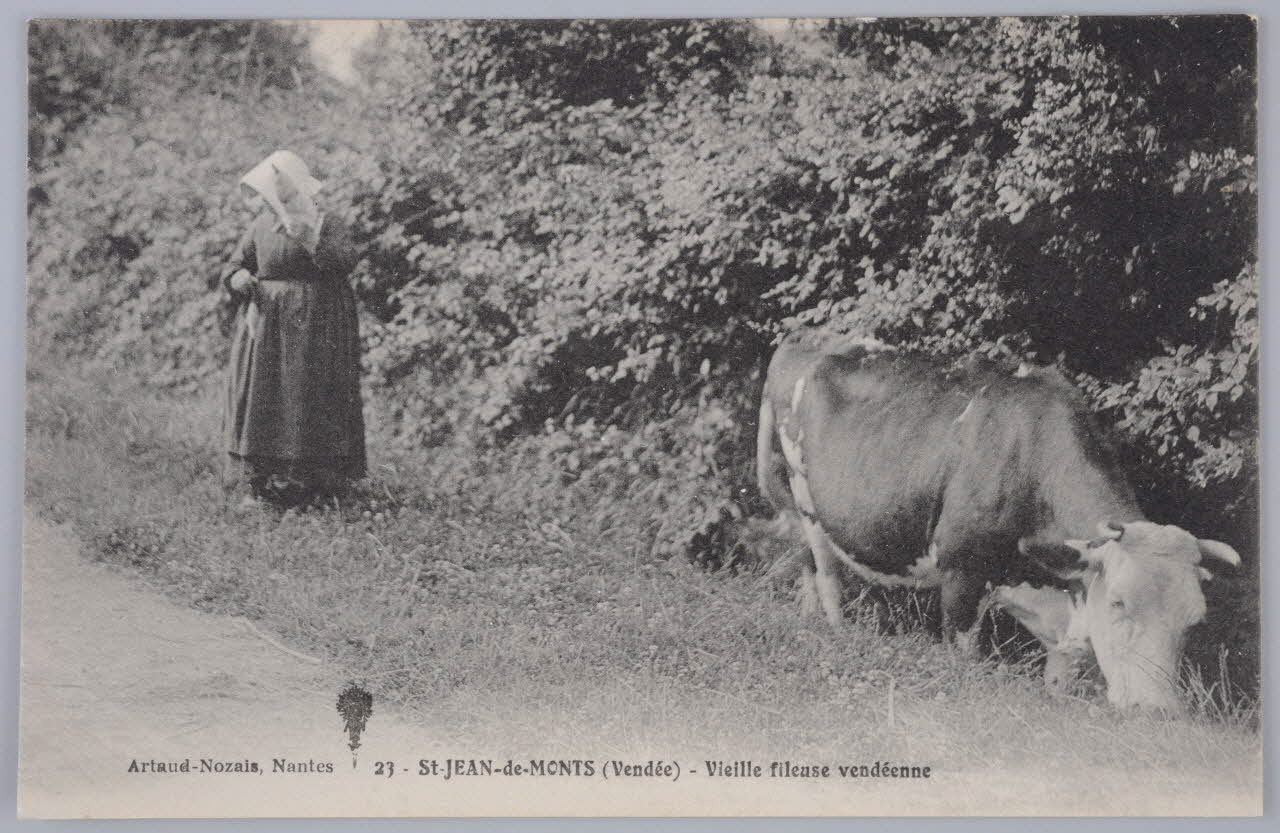 carte postale Album 36 Sou.B.439 Photo