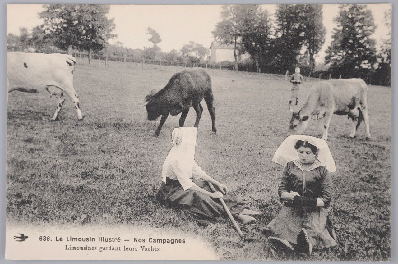 Album 36 Sou.B.456 Photo