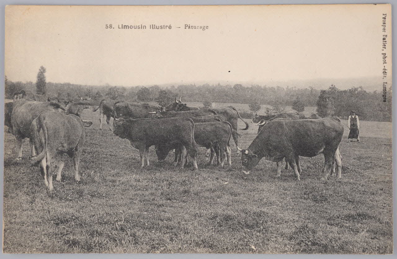 Album 36 Sou.B.457 Photo